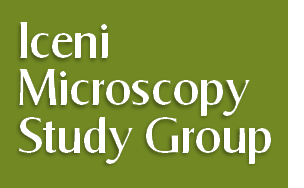 Iceni
Microscopy
Study Group